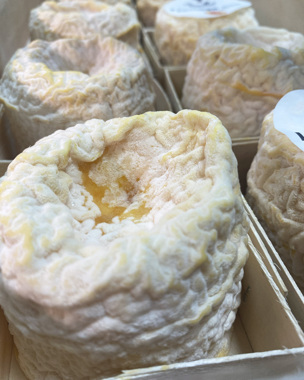 Langres Fermiers au Lait Cru à Vals-les-Bains Langres Fermiers au Lait Cru à Vals-les-Bains
