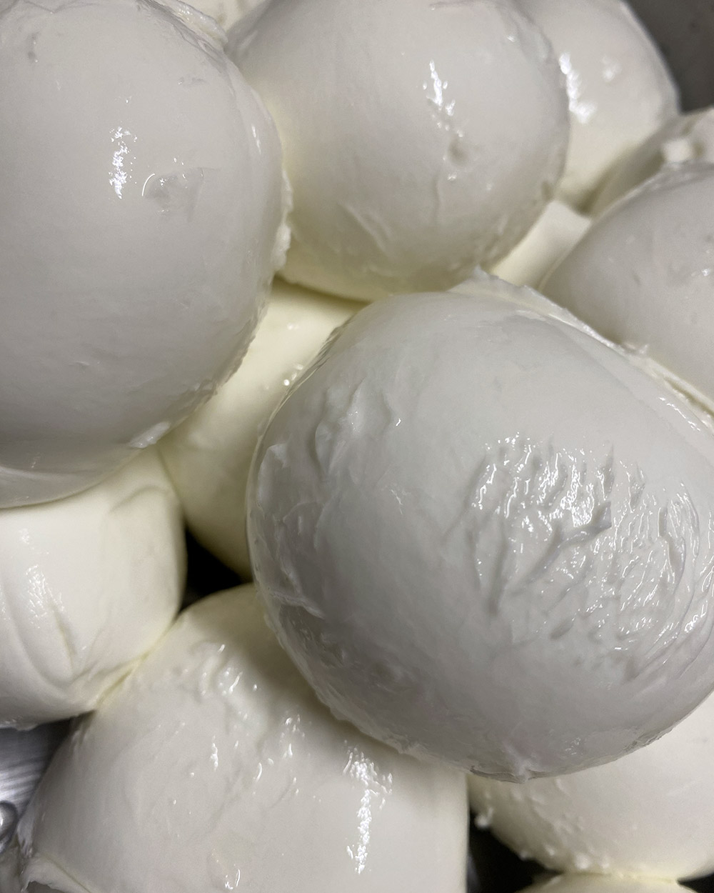 Mozzarella di bufala campana dop en Ardèche Mozzarella di bufala campana dop en Ardèche